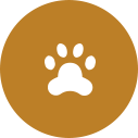 icon of a white animal paw print on a brown background